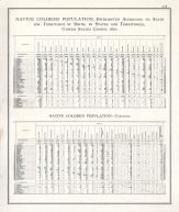 Statistics - Native Colored Populations - Page 218, Illinois State Atlas 1876